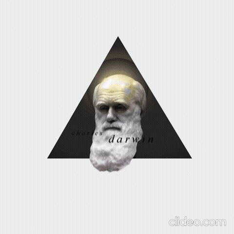 cryptoowner.base.eth Basenames (.base.eth domains) based on ENS PFP