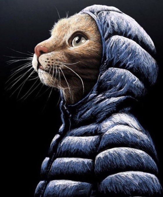 lechugadigital.base.eth Basenames (.base.eth domains) based on ENS PFP