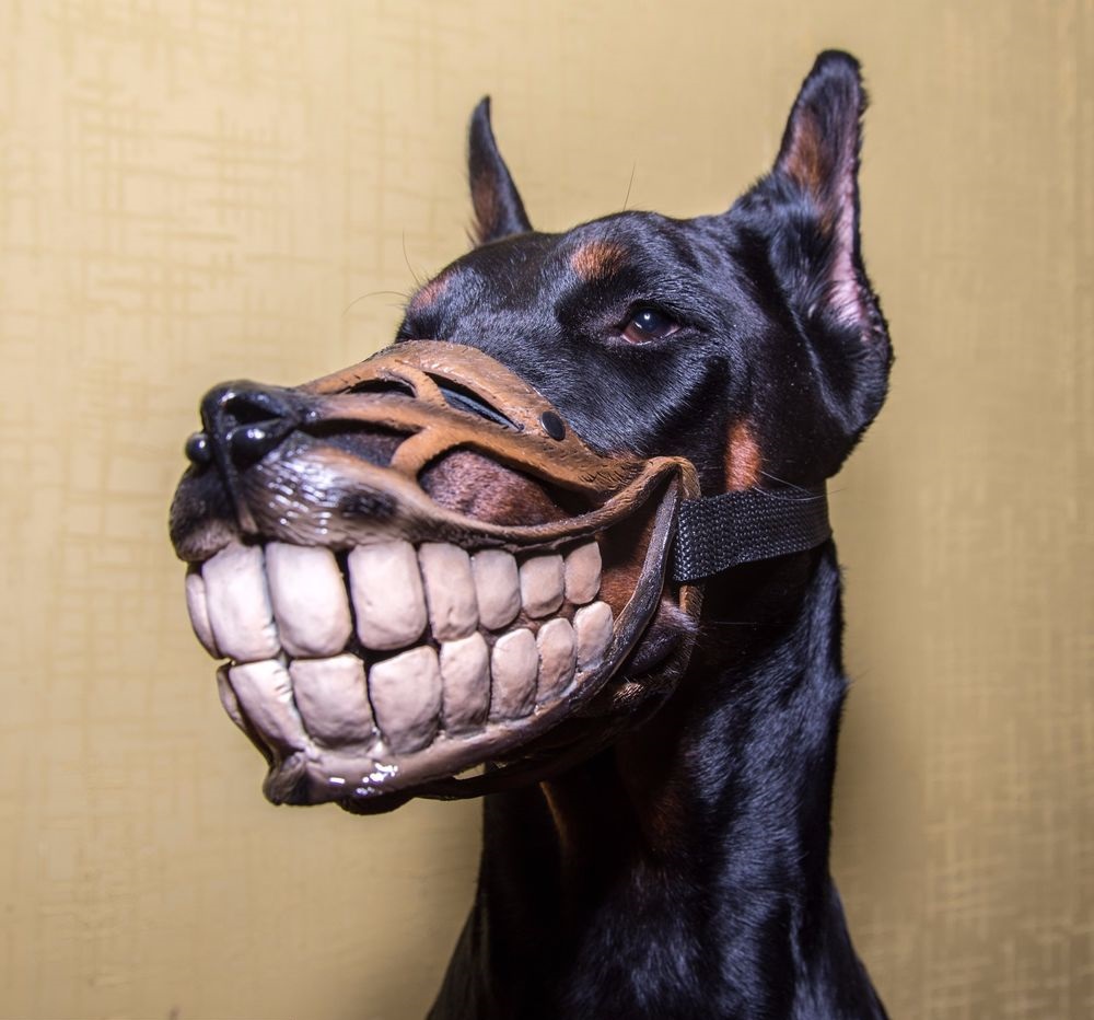 maddogssss.base.eth Basenames (.base.eth domains) based on ENS PFP