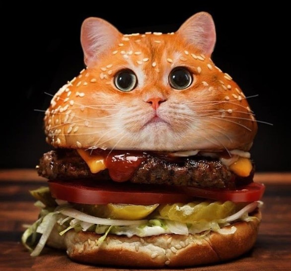 pumpkinpie.base.eth Basenames (.base.eth domains) based on ENS PFP